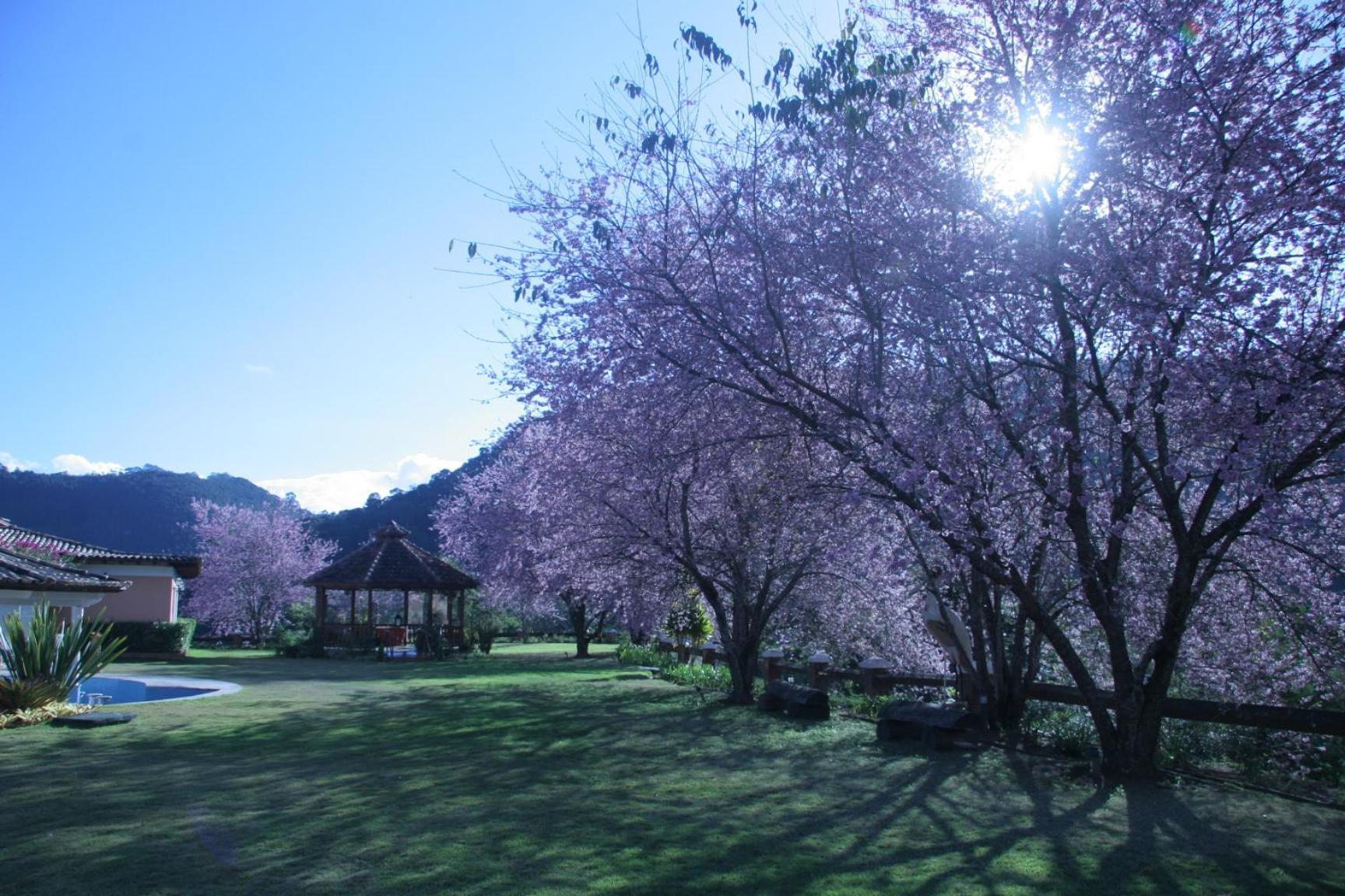 Quinta Da Paz Resort Itaipava Kültér fotó